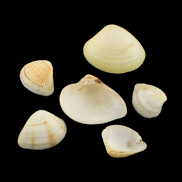 

PandaHall Natural Shell Beads, No Hole, Lemon Chiffon, 18~30x21~35x7~11mm, about 225pcs/500g Other Sea Shell Shell Shape Yellow