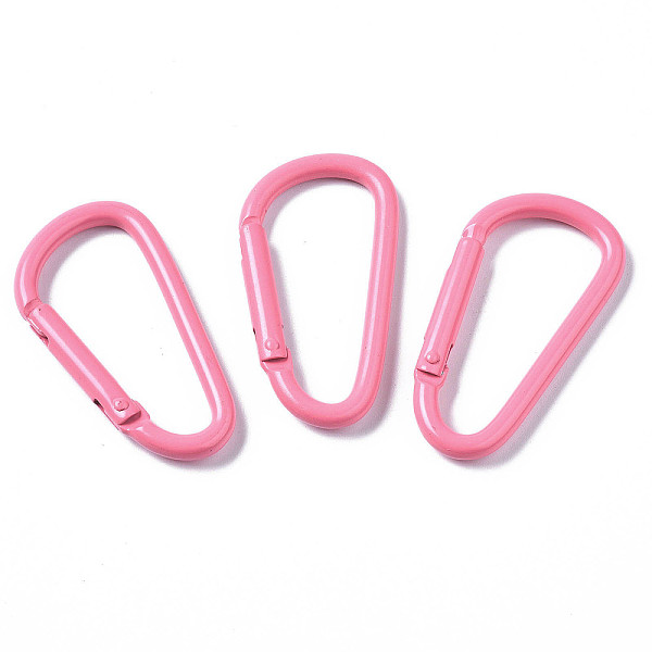 

PandaHall Aluminum Spring Gate Rings, D Shape, Hot Pink, 46x24x4.5mm, Inner Diameter: 38.5x16mm Aluminum