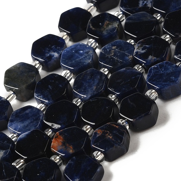 

PandaHall Natural Sodalite Beads Strands, Hexagon, with Seed Beads, 8.5~9x8.5~10x4~5mm, Hole: 1mm, about 17~18pcs/strand, 7.48''(19cm)...