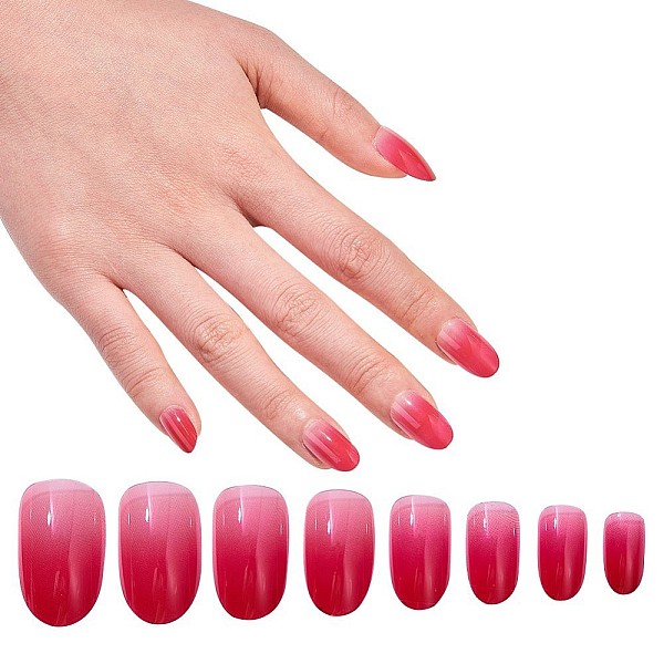 PandaHall Nail Art Sets, with 24pcs Plastic Nail Tips, 24pcs Double Side Jelly Nail Glue, Camellia, 14.5~23x7~14mm, about 24pcs/set Plastic...