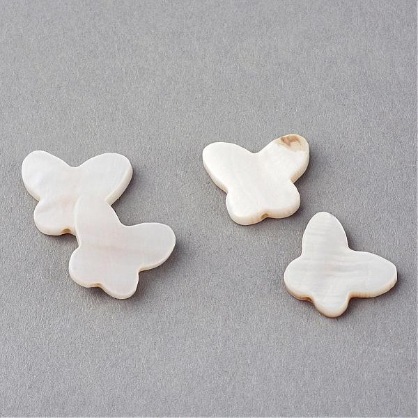 Natural Sea Shell Beads