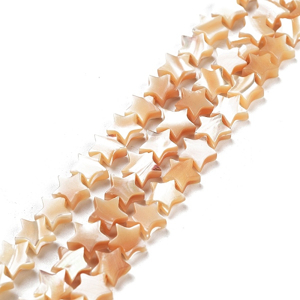 

PandaHall Star Natural White Shell Beads Strands, Mother of Pearl Shell Beads, Wheat, 7~8x7~9x3mm, Hole: 0.5mm, about 62pcs/strand, 15.9..., Orange