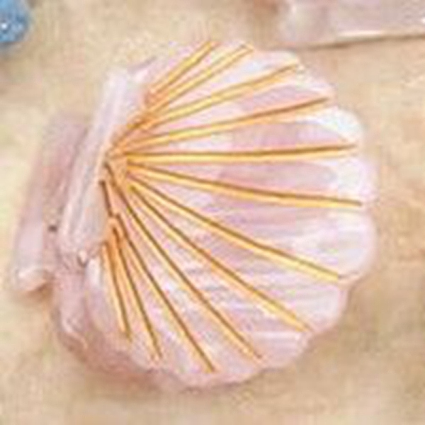 

PandaHall Cellulose Acetate(Resin) Shell Shape Hair Claw Clips, Small Tortoise Shell Hair Clip for Girls Women, Pink, 23.5x26x19mm Cellulose...