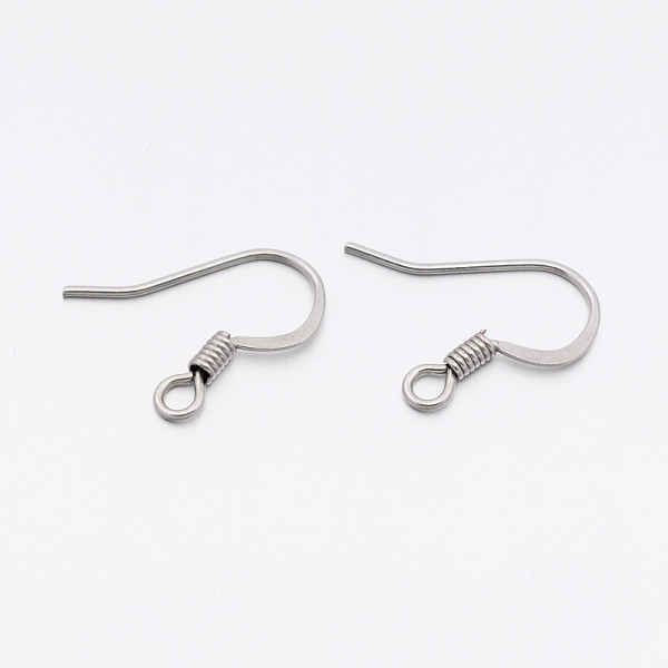 

PandaHall 304 Stainless Steel French Earring Hooks, with Horizontal Loop, Flat Earring Hooks, Stainless Steel Color, 14~17x15x2mm, Hole: 2mm...