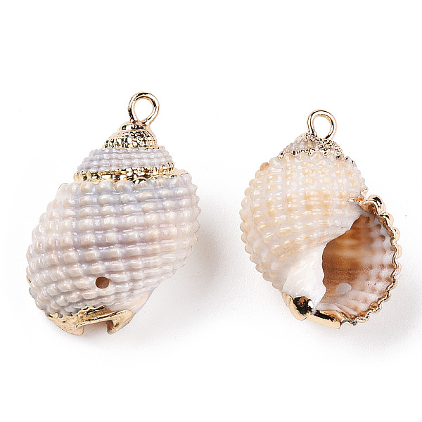 

PandaHall Electroplated Natural Spiral Shell Pendants, Shell Charms, with Golden Tone Iron Loops, Seashell Color, 20~29x12~18x10~16mm, Hole...