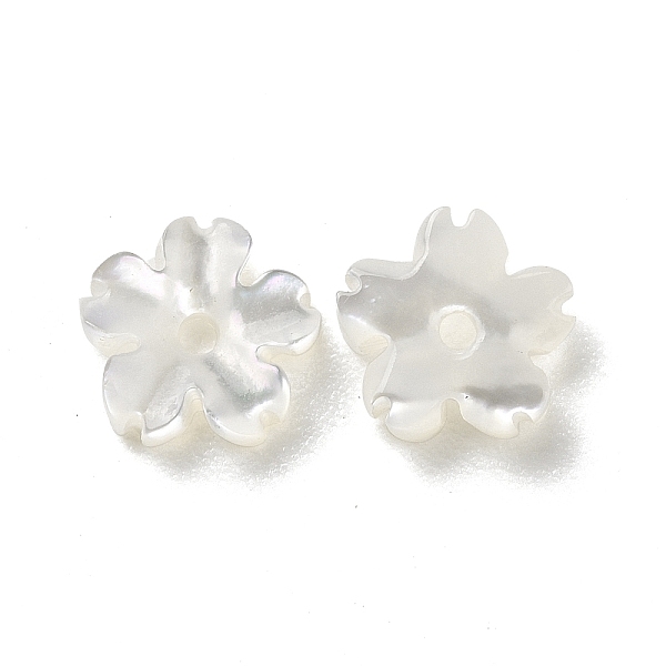

PandaHall Natural White Shell Beads, Flower, 5.5~6x6x1~2mm, Hole: 0.9mm White Shell Flower