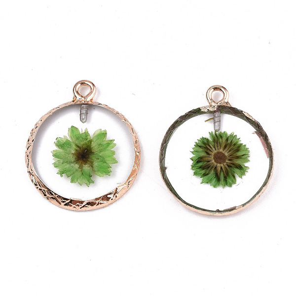

PandaHall Transparent Clear Epoxy Resin & Dried Flower Pendants, with Edge Light Gold Plated Iron Loops, Flat Round, Lime Green, 24x20x2.5mm...