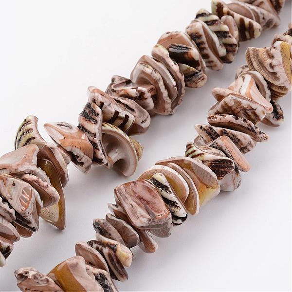 

PandaHall Natural Shell Bead Strands, Dyed, Nuggets, Camel, 10~20x8~12x3~6mm, Hole: 1mm, about 15.7 inch Other Sea Shell Nuggets Brown