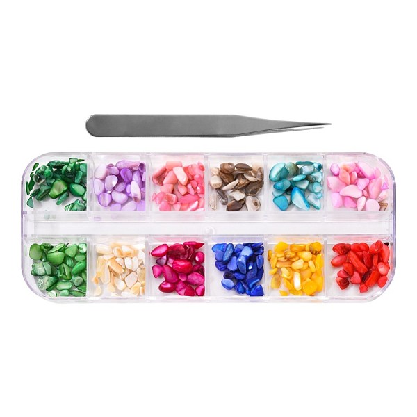 

PandaHall Shell Chips Nails Art Decoration, with Nail Art Tweezers, Mixed Color, 2~10.5x2~6.5x1.5~5.5mm, 12 colors, 1g/color Shell Chip..., Multicolor