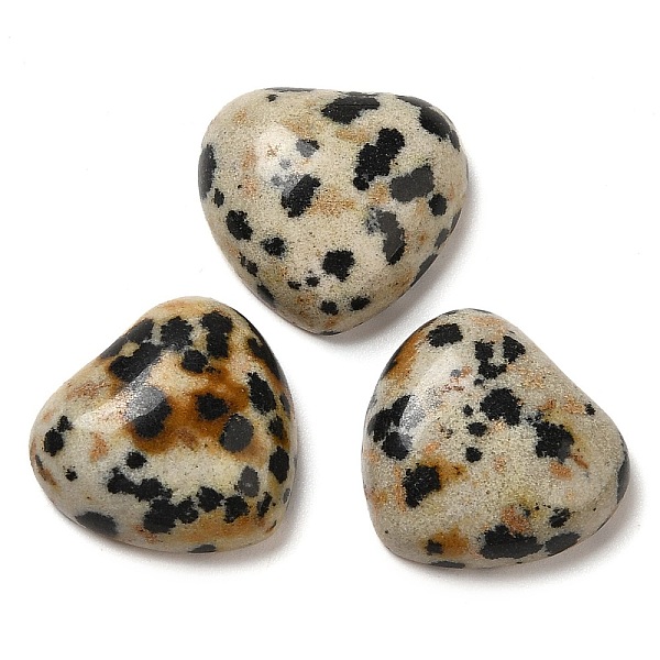 Natural Dalmatian J… - image