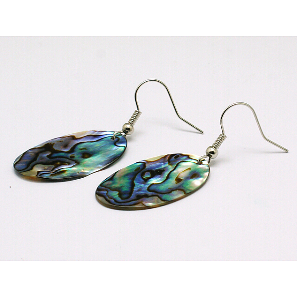 

PandaHall Natural Abalone Shell/Paua ShellEarrings, with Brass Earring Hooks, Colorful, Size: about 18m wide, 45mm long, 1mm thick, hook...