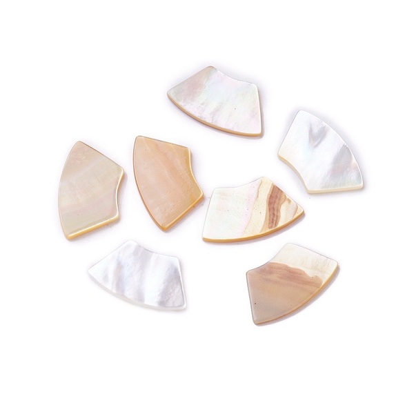 

PandaHall Shell Cabochons, Fan, Yellow Shell, 10x17x1~1.5mm Yellow Shell Fan