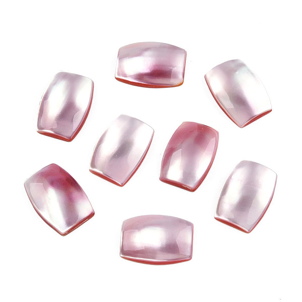 Natürliche Turbo Cornulus/Top Shell Cabochons