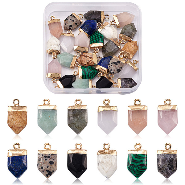 

PandaHall Craftdady 24Pcs 12 Style Natural & Synthetic Gemstone Pointed Pendants, with Light Gold Plated Top and Brass Loop, Arrow...