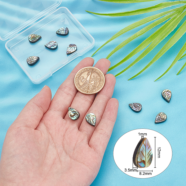 

PandaHall BENECREAT 10Pcs Leaf Shape Natural Abalone Shell Colorful Paua Shell Loose Beads for Bracelet Dangle Jewelry Craft Making Paua...