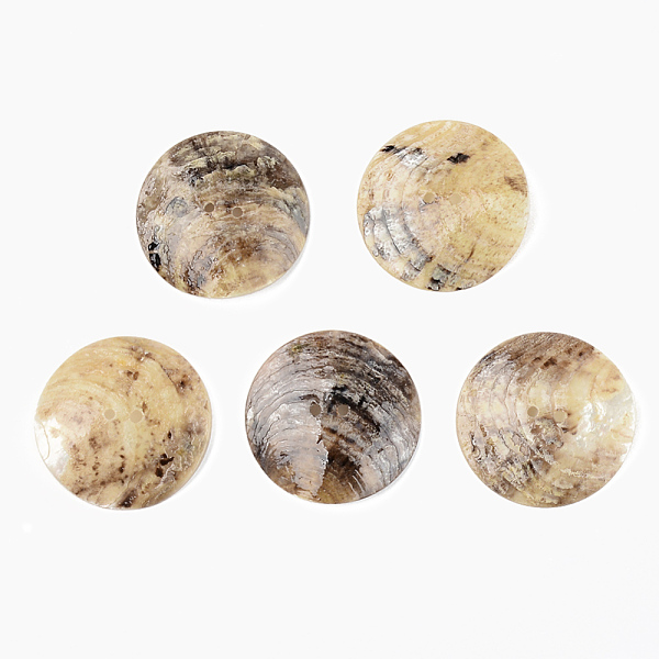 

PandaHall Mother of Pearl Buttons, Natural Akoya Shell Button, Flat Round, Camel, 30x3~5mm, Hole: 1.6mm Mother of Pearl Flat Round Brown