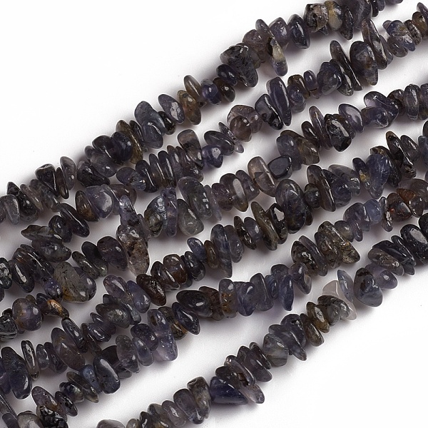 

PandaHall Natural Iolite Beads Strands, Chip, 1.5~4.5x6.5~11.5mm, Hole: 1mm, about 33.39 inch(84.8cm) Iolite Chip