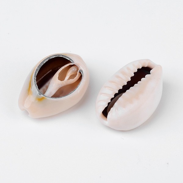 Natural Cowrie Shell Beads