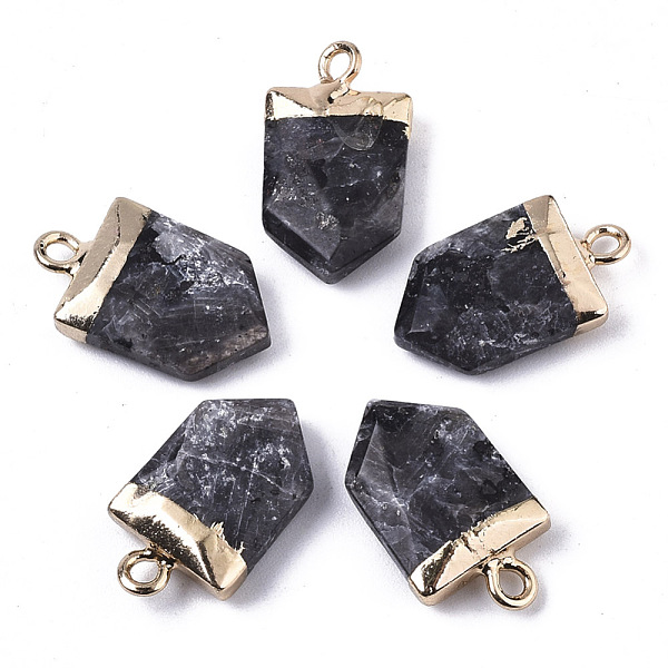 Natural Larvikite Pointed Pendants