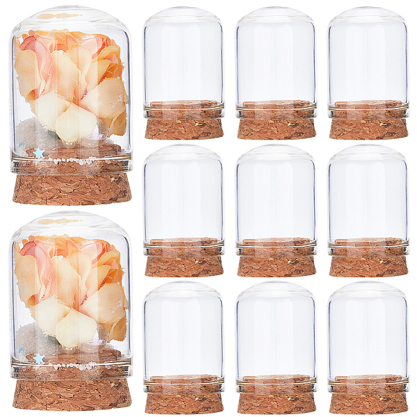 

PandaHall CRASPIRE Clear Glass Dome Cover, Decorative Display Case, Cloche Bell Jar Terrarium with Cork Base, Arch, Clear, 30x45mm, Inner...