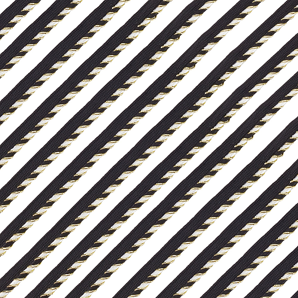 

PandaHall BENECREAT 12.5 Yards Polyester Ribbon, Single Edge with Diagonal Stripe, for Garment Accessories, Black, 1/2 inch(11.5mm)...