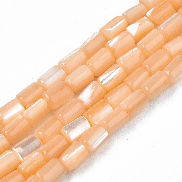 

PandaHall Natural Trochid Shell/Trochus Shell Beads Strands, Dyed, Column, Sandy Brown, 4~5x3~3.5mm, Hole: 0.9mm, about 77~78pcs/strand...