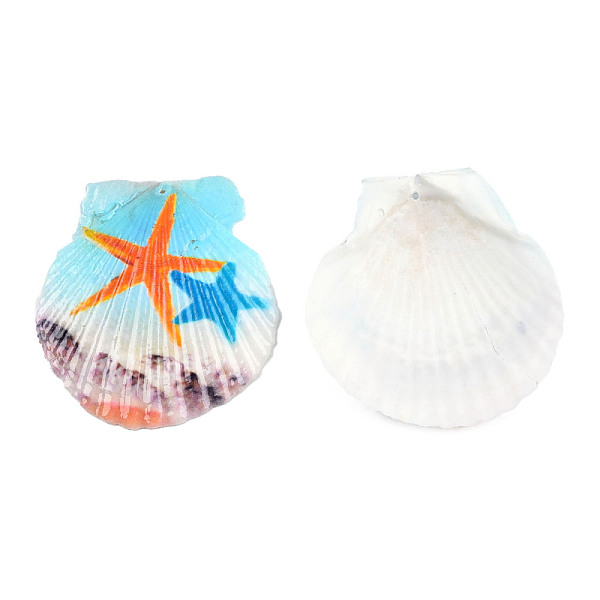 

PandaHall Printed Natural Freshwater Shell Big Pendants, Shell Charm, Colorful, Starfish Pattern, 55~75x52~70x6~8mm, Hole: 1.4mm Shell...