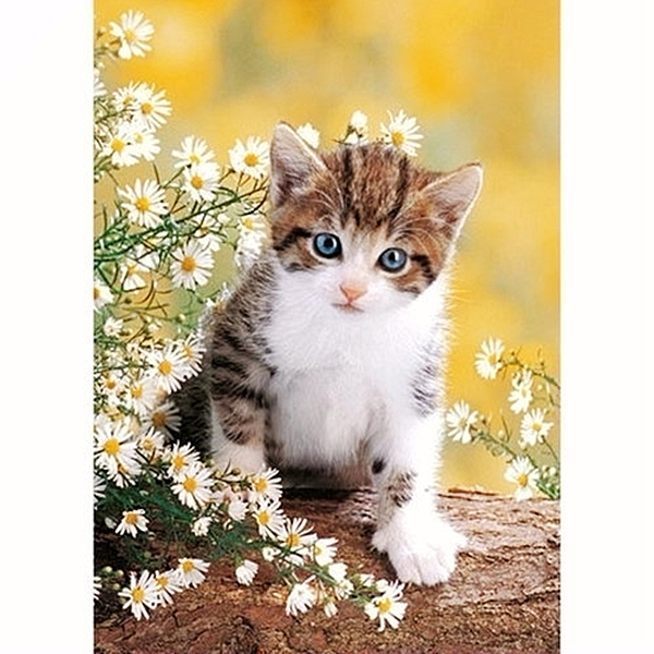 

PandaHall DIY Rectangle Cat Theme Diamond Painting Kits, Including Canvas, Resin Rhinestones, Diamond Sticky Pen, Tray Plate and Glue Clay...