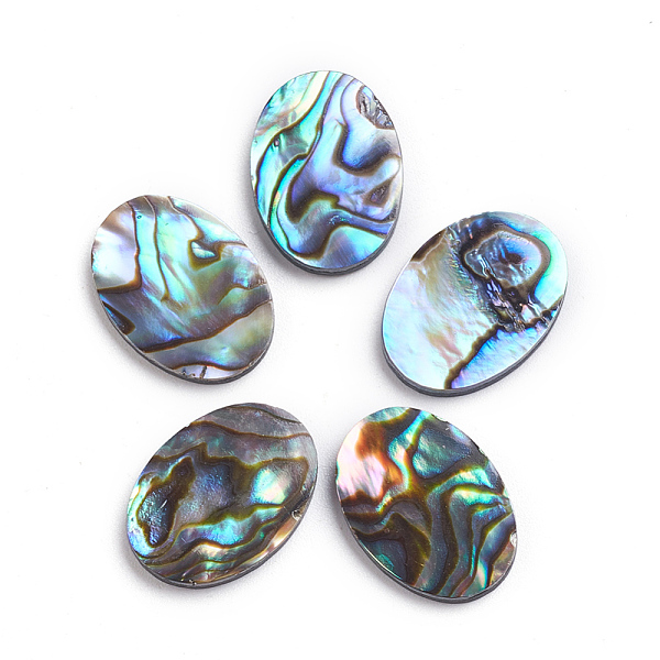 Natural Abalone She… - image