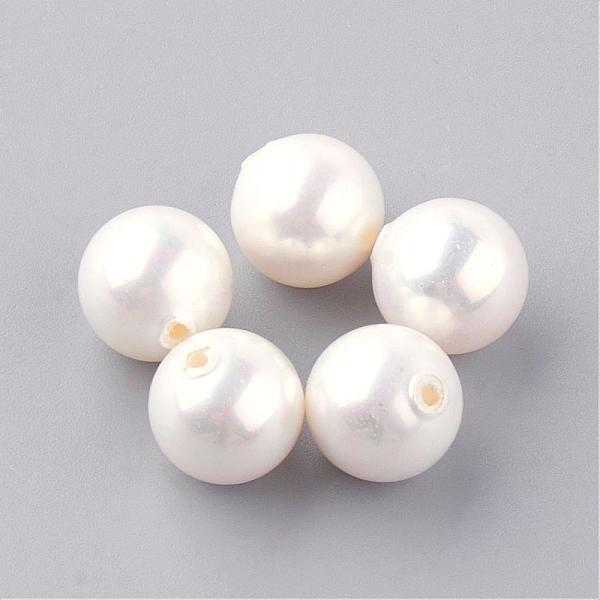 Natural Sea Shell B… - image