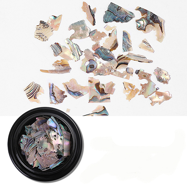 

PandaHall Abalone Shell/Paua ShellChips, For False Acrylic & UV Gel Nail, Nail Flakies Decoration, Colorful, 4cm, 2g/box Shell Others