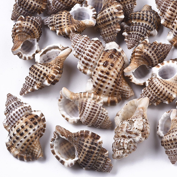 

PandaHall Natural Spiral Shell Beads, Undrilled/No Hole Beads, Saddle Brown, 27~44x18~30x12~21mm Spiral Shell Shell Shape Brown