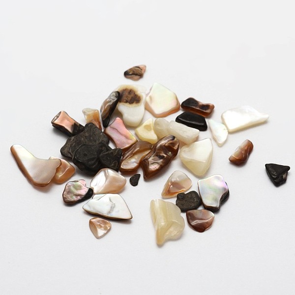 

PandaHall No Hole Natural Sea Shell Beads, 5~17x5~17mm, about 2994pcs/500g Other Sea Shell Others
