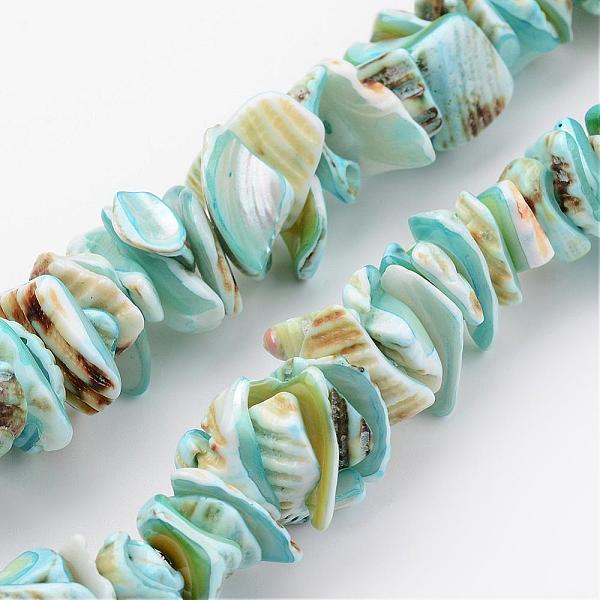 

PandaHall Natural Shell Bead Strands, Dyed, Nuggets, Sky Blue, 10~20x8~12x3~6mm, Hole: 1mm, about 15.7 inch Other Sea Shell Nuggets Blue