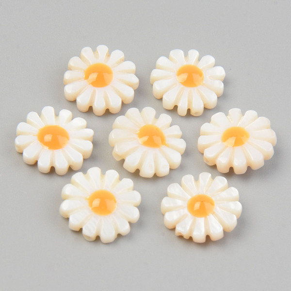 

PandaHall Natural Freshwater Shell Chandelier Charms, Flower, Seashell Color, 12.5x4.5mm, Hole: 1mm Freshwater Shell Flower