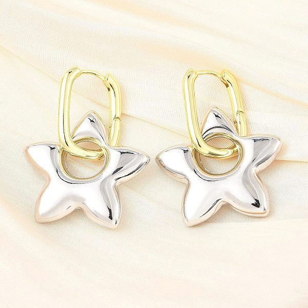 Star Brass Hoop Ear… - image