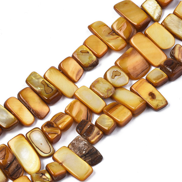 

PandaHall Natural Trochid Shell/Trochus Shell Beads Strands, Dyed, Rectangle, Dark Goldenrod, 6~11x6~36x1~7mm, Hole: 1mm, about...