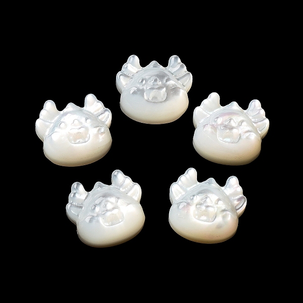 

PandaHall Natural White Shell, Freshwater Shell, Cattle, Floral White, 9.5x10.5x4.5mm, Hole: 1mm White Shell Cattle