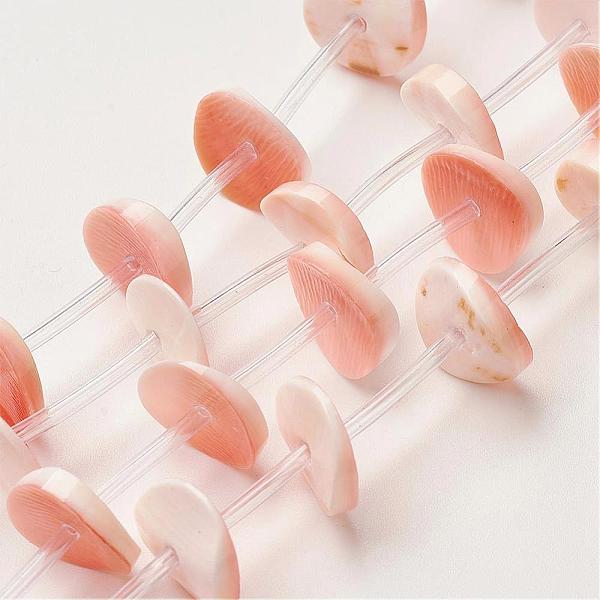 

PandaHall Natural Freshwater Shell Beads Strands, Dyed, Disc/Flat Round, Heishi Beads, PeachPuff, 12x1mm, Hole: 1mm, about 24pcs/strand..., Brown