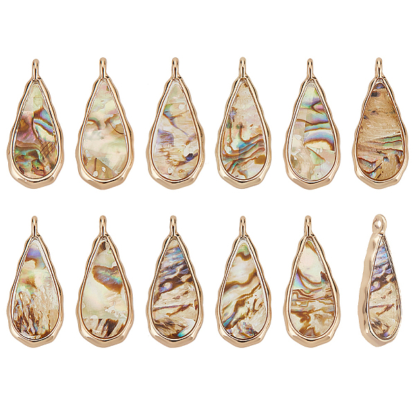 

PandaHall BENECREAT 12Pcs Alloy Resin Pendants with Natural Paua Shell, Teardrop Charms, Light Gold, 23x10x2mm, Hole: 1mm Paua Shell...