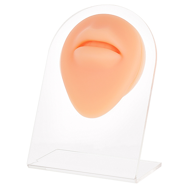 PandaHall Soft Silicone Mouth Flexible Model Body Part Displays with Acrylic Stands, Jewelry Display Teaching Tools for Piercing Suture...