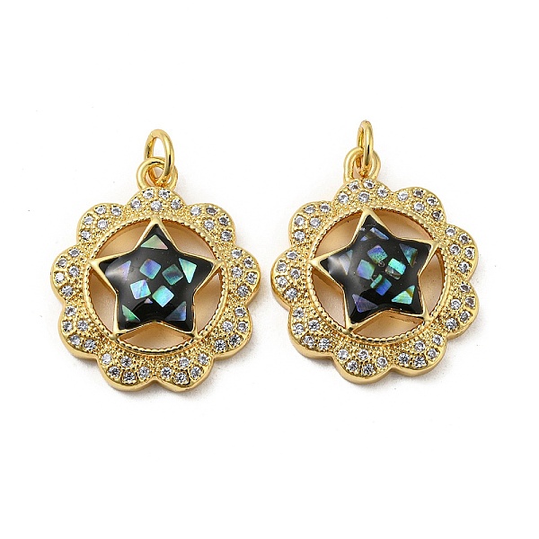

PandaHall Brass Micro Pave Cubic Zirconia Pendants, with Enamel Shell, Flower with Star, Black, 21x18x4.5mm Brass+Cubic Zirconia+Shell...
