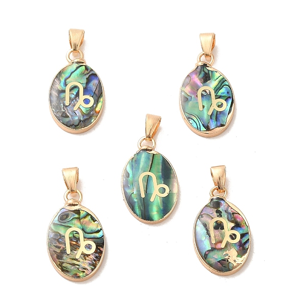 

PandaHall Constellation Natural Paua Shell Pendants, Golden Tone Brass Oval Charms, Capricorn, 22x13x3~3.5mm, Hole: 6x3mm Paua Shell...