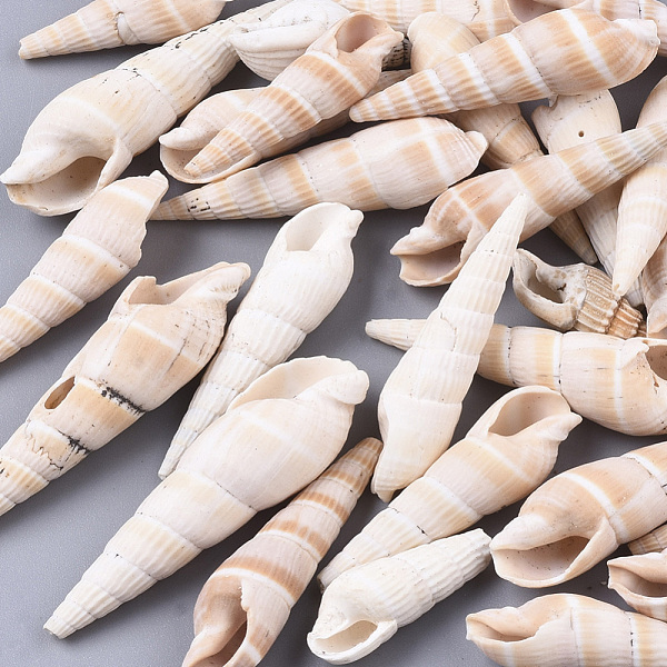 

PandaHall Natural Spiral Shell Beads, Turritella Shell, Undrilled/No Hole Beads, Navajo White, 19~41x8~13x7~13mm Spiral Shell Shell Shape..., Orange