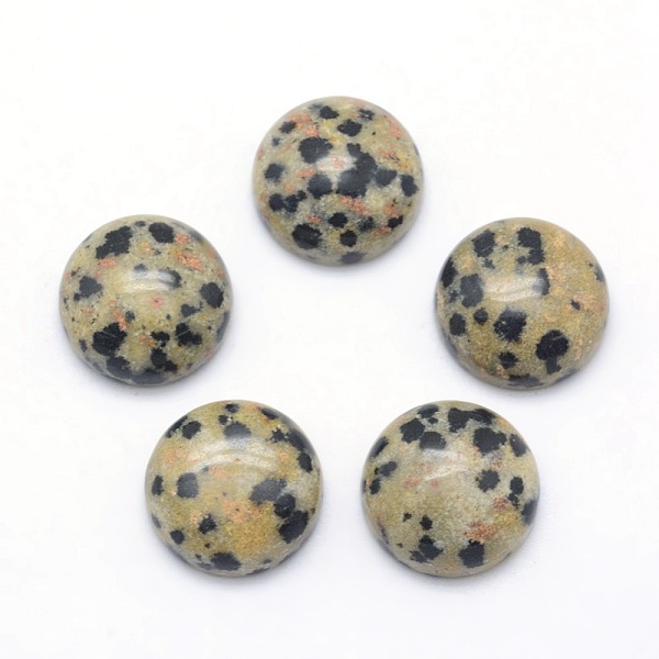 

PandaHall Natural Dalmatian Jasper Cabochons, Half Round, 4x2~4mm Dalmatian Jasper Half Round