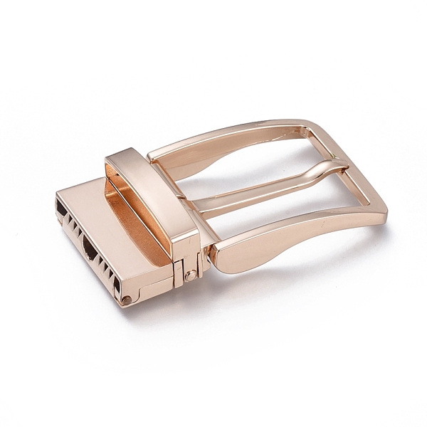 Alloy Buckles - image