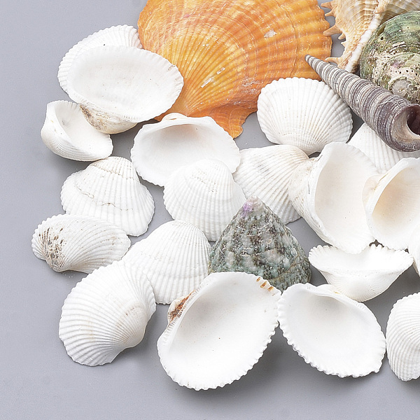 

PandaHall Natural Ark Shell Beads, Sea Shell Beads, Undrilled/No Hole, Mixed Shape, Random Single Color or Random Mixed Color...