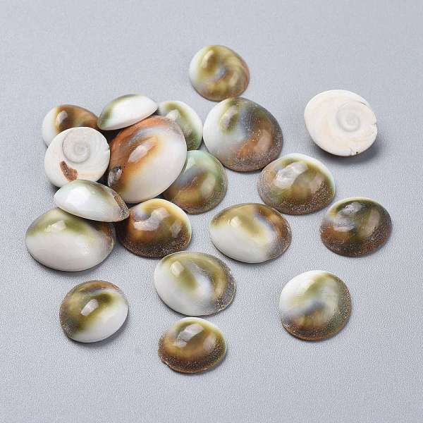 

PandaHall Natural Sea Shell Cabochons, Half Round/Dome, Colorful, 12.5~20.5x12.5~17.5x4.5~7.5mm Sea Shell Half Round