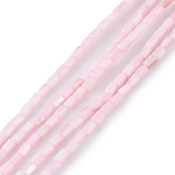 

PandaHall Natural Freshwater Shell Dyed Beads Strands, Column, Pink, 4.8x3mm, Hole: 0.8mm, about 78pcs/strand, 14.96''(38cm) Freshwater...