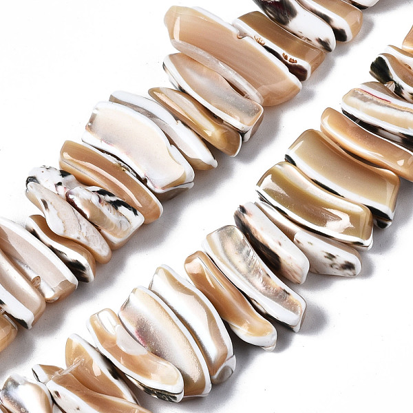 

PandaHall Natural Trochid Shell/Trochus Shell Beads Strands, Nugget Stick, BurlyWood, 10~32x4~8x4~8mm, Hole: 0.7mm, about 74~76pcs/strand..., Orange